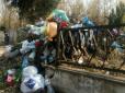 На одному з кладовищ Києва могили засипали сміттям та підпалили, люди розгнівані (фото)
