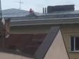 Хіти тижня. Знайшли затишне місце: У Львові парочка зайнялася сексом на даху багатоповерхівки (відео)