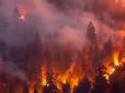 Евакуйовано тисячі людей: Нова Зеландія потерпає від найпотужнішої за останні 60 років пожежі (фото)