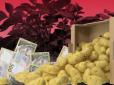 Експерти розповіли, чому українська картопля дорожча за білоруську бульбу