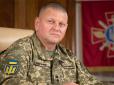 На честь Головнокомандувача ЗСУ: На Харківщині село Ватутіне перейменували на Залужне